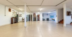 Casa en la sierra – San Rafael (Urb. Prado Acero)