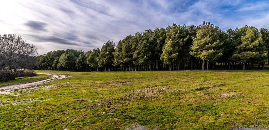 Casa en la Sierra de Madrid – Moralzarzal Casa en la Sierra de Madrid – Moralzarzal