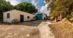 Finca el Manantial – Paracuellos del Jarama