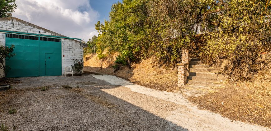 Finca el Manantial – Paracuellos del Jarama