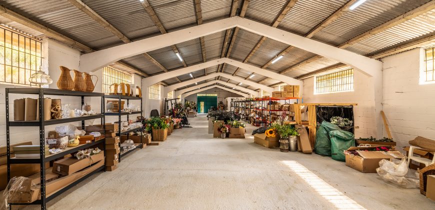 Finca el Manantial – Paracuellos del Jarama