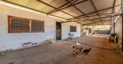 Finca el Manantial – Paracuellos del Jarama