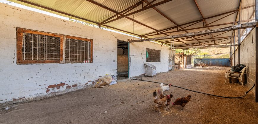 Finca el Manantial – Paracuellos del Jarama