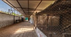 Finca el Manantial – Paracuellos del Jarama