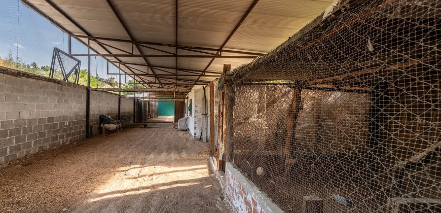 Finca el Manantial – Paracuellos del Jarama