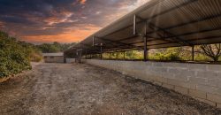 Finca el Manantial – Paracuellos del Jarama