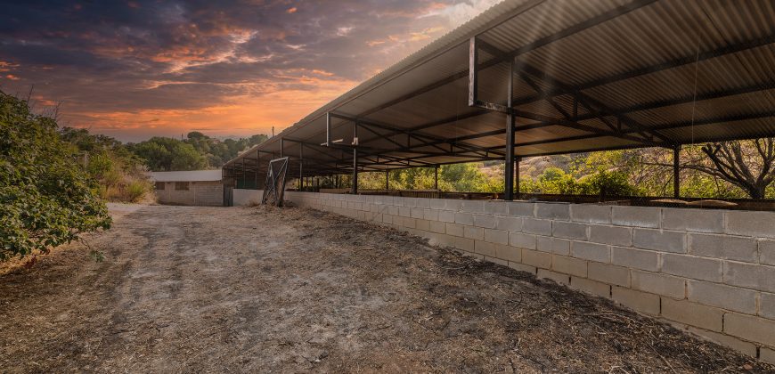 Finca el Manantial – Paracuellos del Jarama