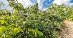 Finca el Manantial – Paracuellos del Jarama