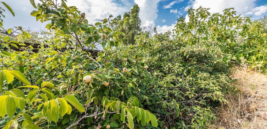 Finca el Manantial – Paracuellos del Jarama