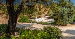 Finca el Manantial – Paracuellos del Jarama