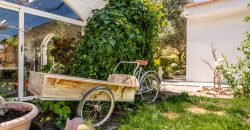 Finca el Manantial – Paracuellos del Jarama