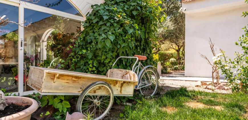 Finca el Manantial – Paracuellos del Jarama