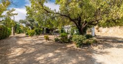 Finca el Manantial – Paracuellos del Jarama