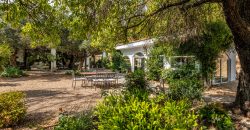 Finca el Manantial – Paracuellos del Jarama