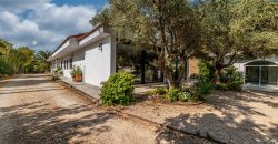 Finca el Manantial – Paracuellos del Jarama