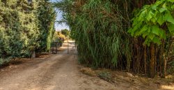 Finca el Manantial – Paracuellos del Jarama