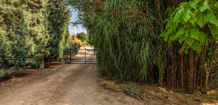 Finca el Manantial – Paracuellos del Jarama