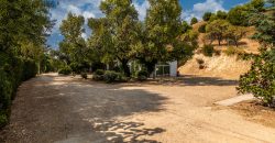 Finca el Manantial – Paracuellos del Jarama