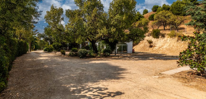 Finca el Manantial – Paracuellos del Jarama