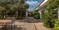 Finca el Manantial – Paracuellos del Jarama