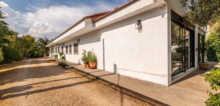 Finca el Manantial – Paracuellos del Jarama